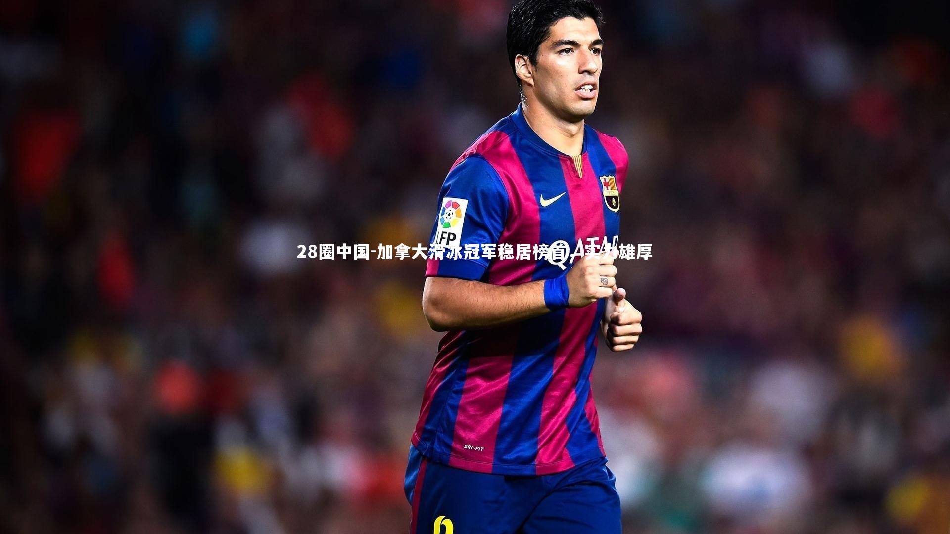 加拿大滑冰冠军稳居榜首，实力雄厚