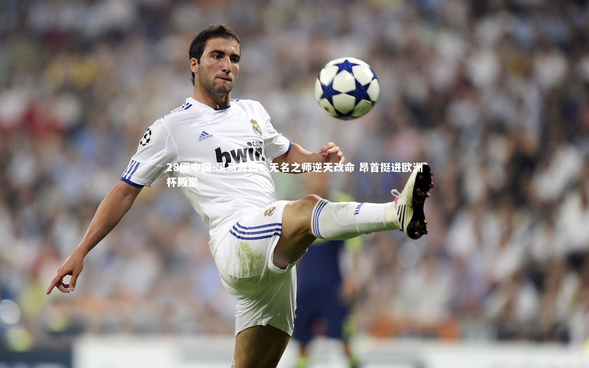 黑马奔腾！无名之师逆天改命 昂首挺进欧洲杯殿堂